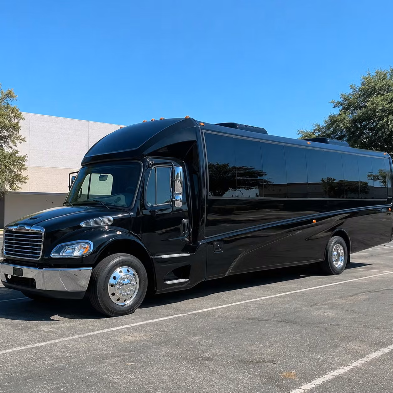 reading 20 passenger minibus rental
