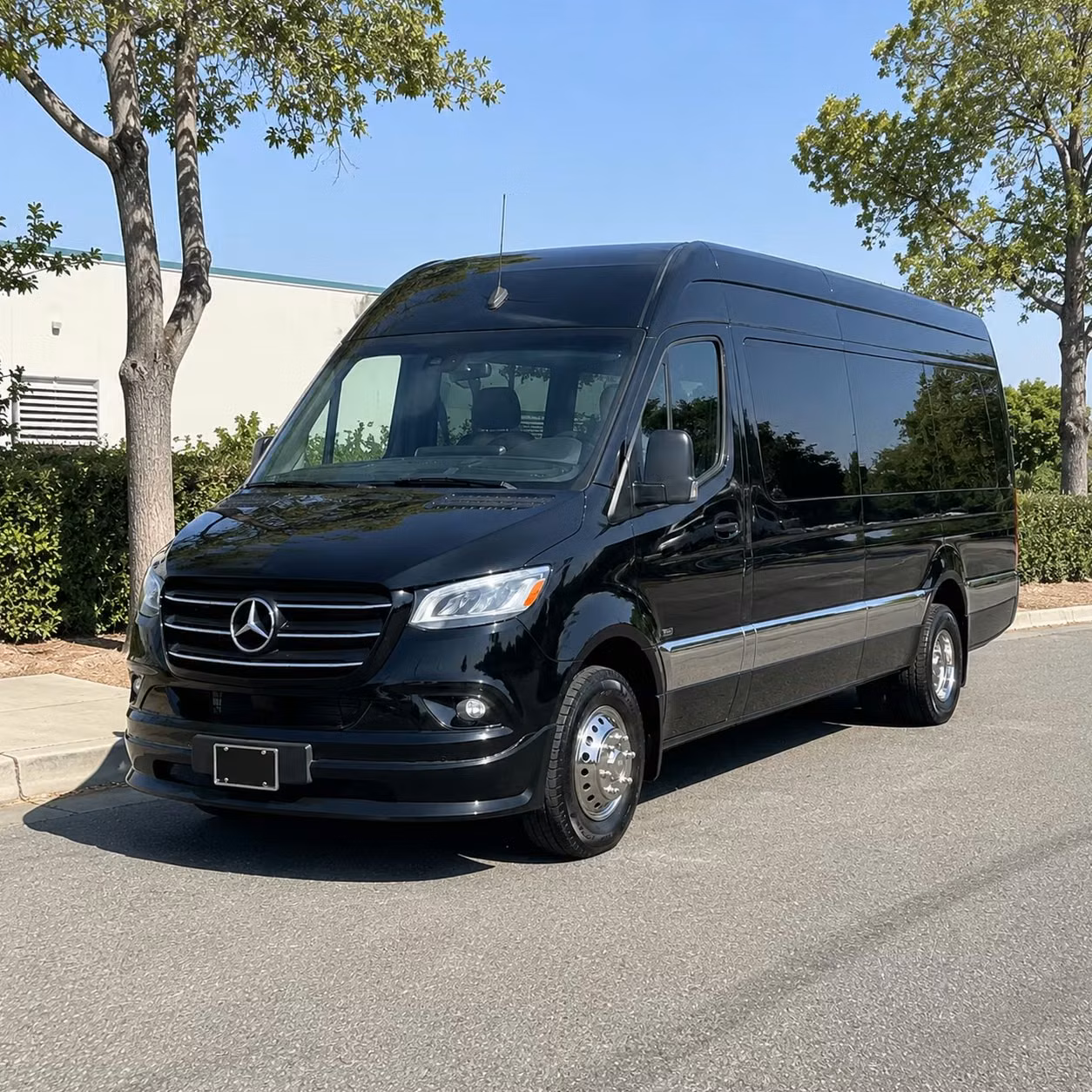 sprinter van with driver